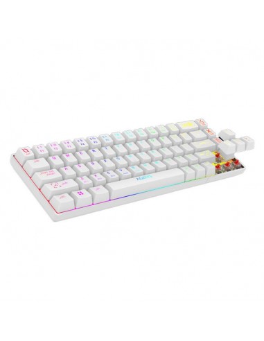 Clavier Gamer Mécanique AQIRYS ALUDRA TKL100% Anti-Ghosting RGB - Blanc