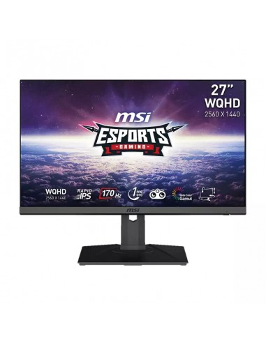 Ecran Gamer MSI G272QPF 27'' Fast IPS WQHD, 170 HZ, 1 Ms