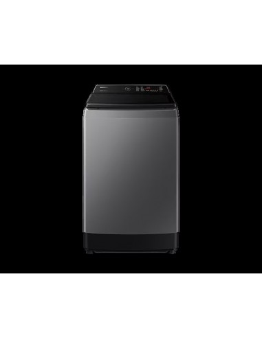 Lave-linge Samsung 14,0 kg - Gris (WW90T654DLN)