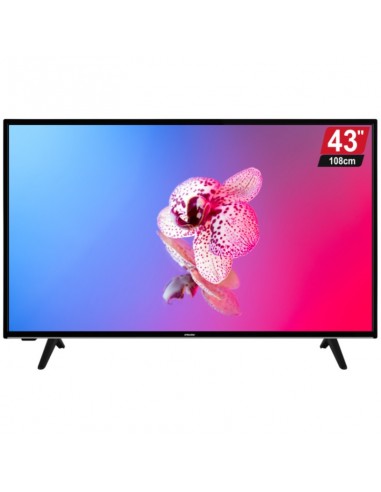 Téléviseur NEWSTAR 43" - LED - récepteur intégré (43553)