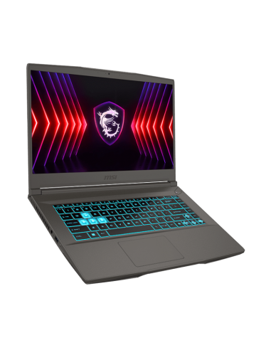 Pc Portable Gamer MSI Thin 15 B13U / i5-13420H / RTX 3050 4G / 8 Go / 512 Go SSD / Gris Cosmos( B13UCX-2605XFR)