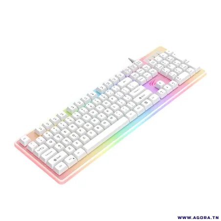 Clavier Gamer HAVIT KB876L