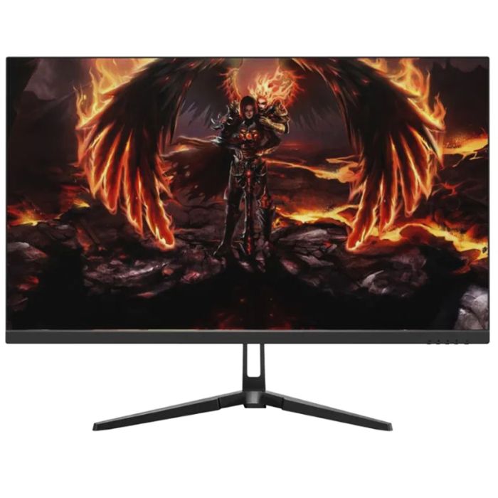 Ecran Gaming AERO QG25DFA 24.5''